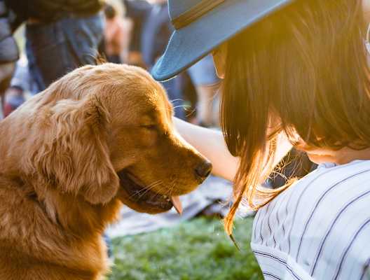 Woman in Hat Petting Dog In Crowd At Park